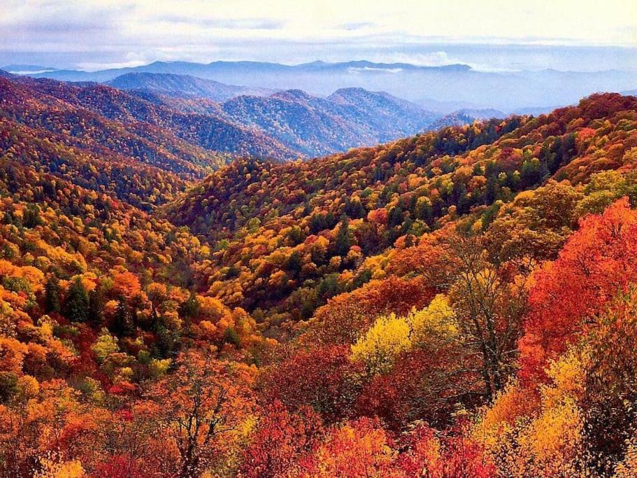 Bourbon Hollow Lodge With Hot Tub And Pool Plus Game Room Only 5 Min To Downtown Gatlinburg Eksteriør bilde